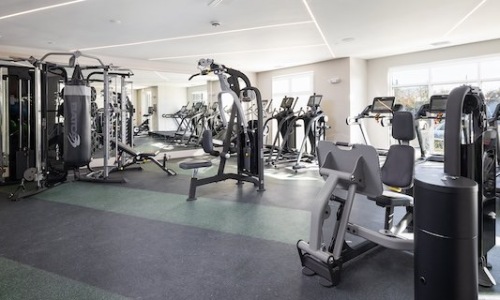 Modern gym with cardio machines and weightlifting equipment for residents of luxury apartments in Kissimmee, FL.