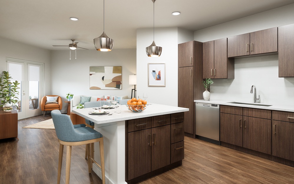The Aria - 1 bedroom floorplan layout with 1 bathr