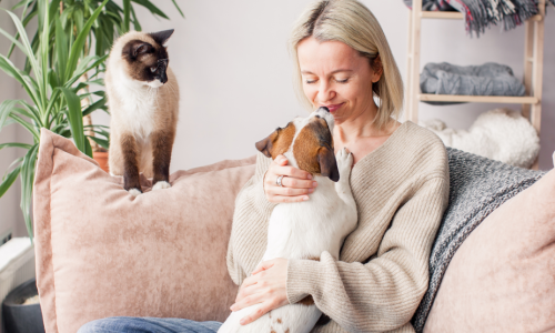 A woman cuddling her dog on a couch next to a Siamese cat in a Solaris apartment.