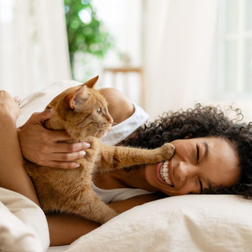 A woman laughing in bed while playing with her orange cat in a Solaris apartment.