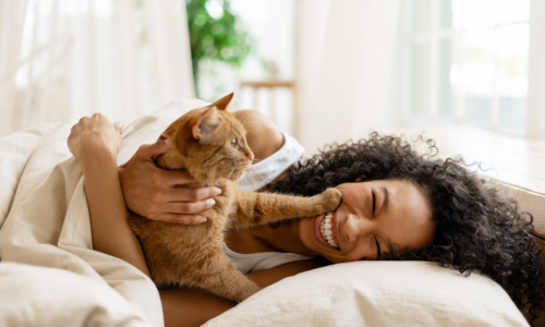 A woman laughing in bed while playing with her orange cat in a Solaris apartment.