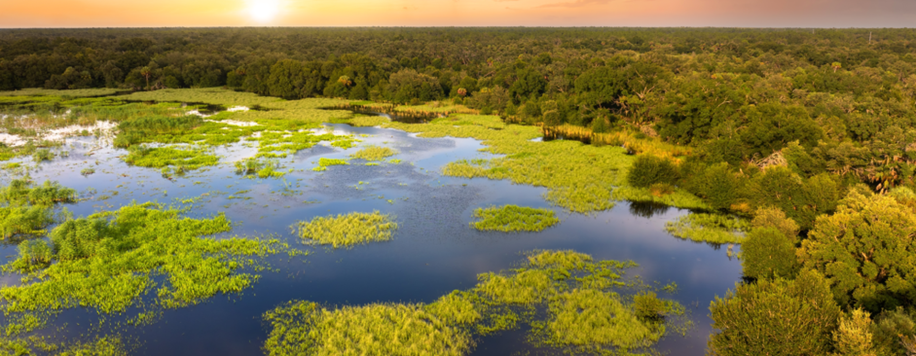 Aerial view of Central Florida wetlands and forest at orange sunset